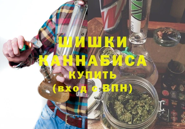 амф Алексин
