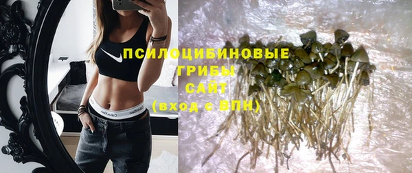 амф Алексин