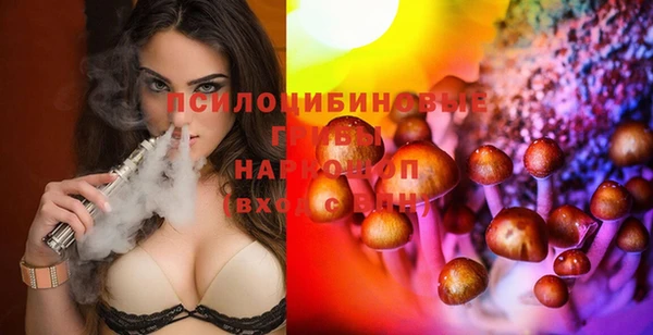 спайс Алзамай