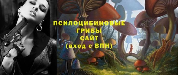 спайс Алзамай