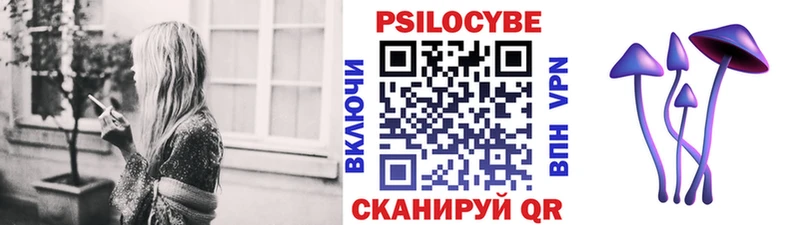MEGA онион  Яровое  Псилоцибиновые грибы Cubensis  даркнет официальный сайт  как найти наркотики 